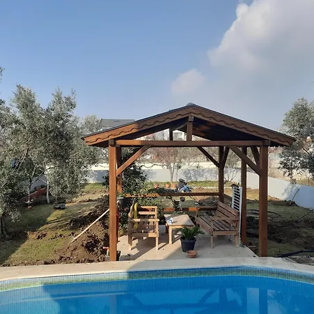 Hotel With Pool